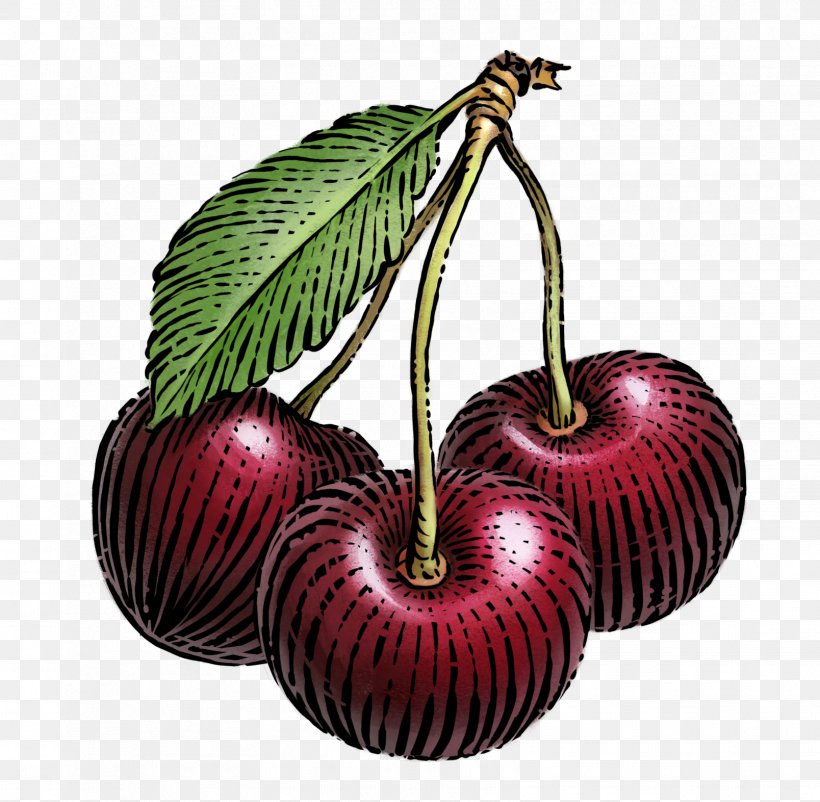 Black Cherry Skyr Siggi's Dairy Food, PNG, 1608x1573px, Black Cherry, Apple, Cherry, Cherry Blossom, Food Download Free