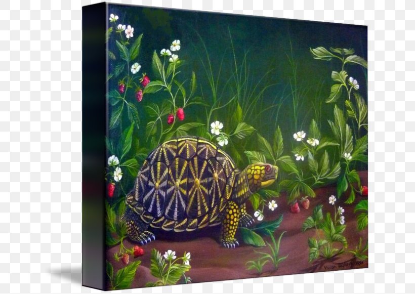 Box Turtles Tortoise Florida Box Turtle Aquariums, PNG, 650x581px, Box Turtles, Aquarium, Aquariums, Art, Box Turtle Download Free