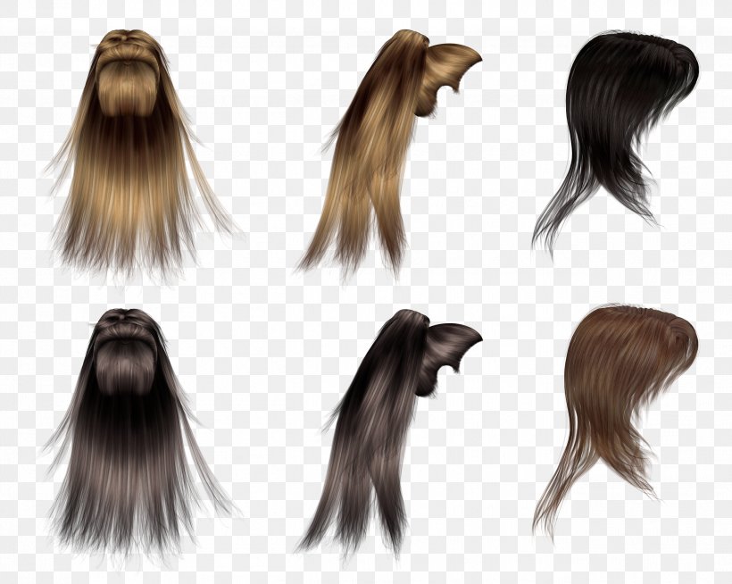 Hairstyle Wig Hair Coloring, PNG, 2602x2078px, Hair, Black Hair, Brown Hair, Fur, Hair Coloring Download Free