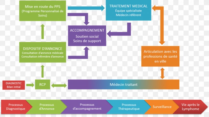 Parcours De Soins Coordonnés Health Care Oncology Patient Cancer, PNG, 1024x574px, Health Care, Area, Brand, Cancer, Clinic Download Free