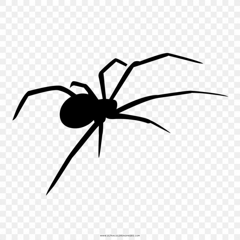 Widow Spiders Coloring Book Drawing Black And White, PNG, 1000x1000px, Widow Spiders, Accident, Arachnid, Arthropod, Artwork Download Free