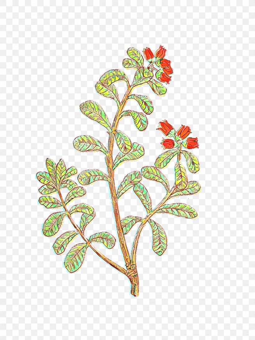 Branch Plant Stem Flowering Plant Leaf, PNG, 1139x1519px, Branch, Flower, Flowering Plant, Geranium, Leaf Download Free