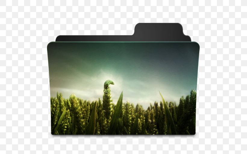 Chameleons Desktop Wallpaper Reptile, PNG, 512x512px, Chameleons, Field, Grass, Grass Family, Iphone 6s Plus Download Free
