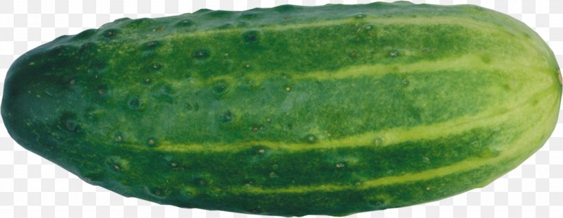 Cucumber Food, PNG, 2443x949px, Cucumber, Armenian Cucumber, Citrullus, Cucumber Gourd And Melon Family, Cucumis Download Free