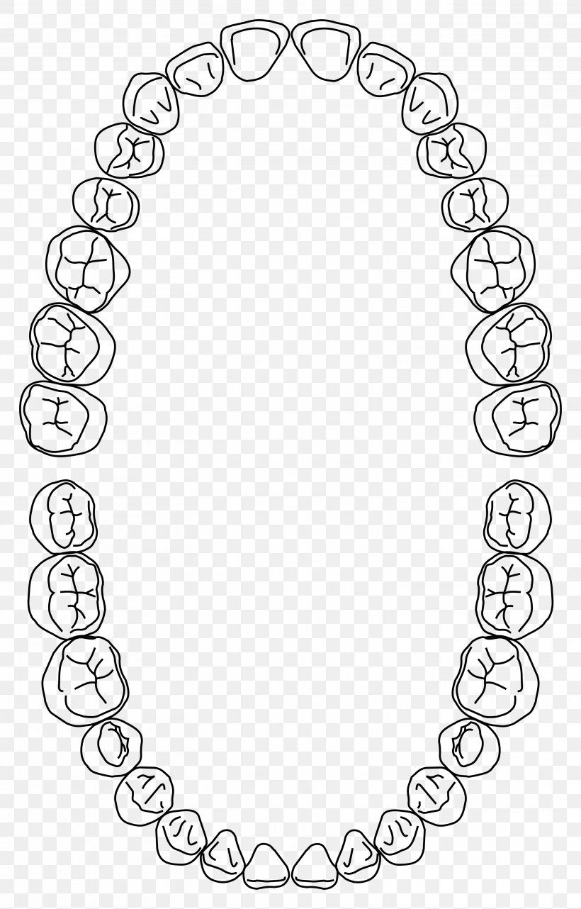 Dental Arch Dentistry Dental Notation Human Tooth Dentures, PNG, 3027x4736px, Dental Arch, Area, Black, Black And White, Body Jewelry Download Free