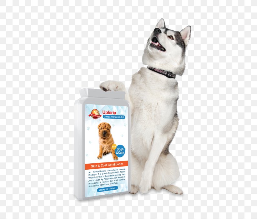 Dog Breed Siberian Husky Kishu Puppy Shiba Inu, PNG, 701x701px, Dog Breed, Breed, Carnivoran, Dog, Dog Breed Group Download Free
