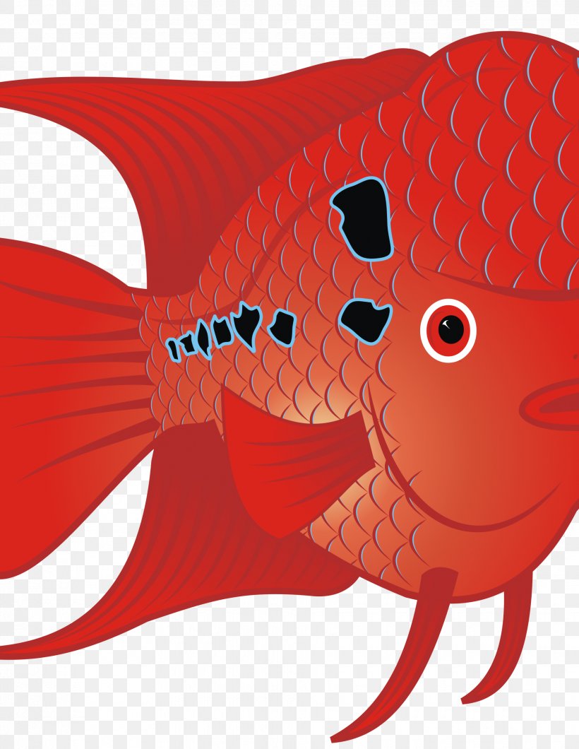 Flowerhorn Cichlid Goldfish Tropical Fish Clip Art, PNG, 1855x2400px, Flowerhorn Cichlid, Animal, Aquarium, Art, Cartoon Download Free