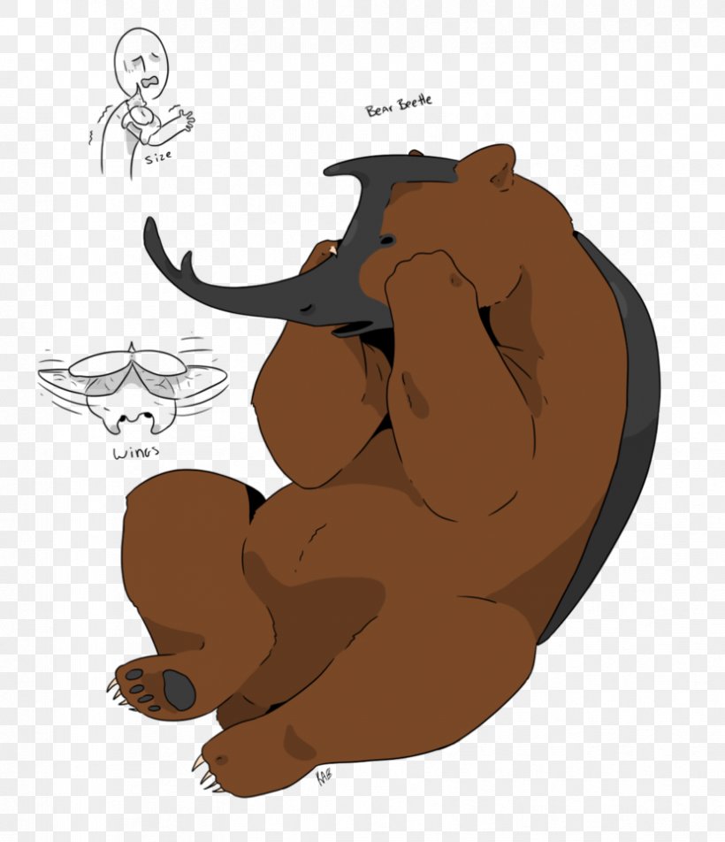Bear Canidae Donkey, PNG, 829x963px, Bear, Art, Canidae, Carnivoran, Cartoon Download Free