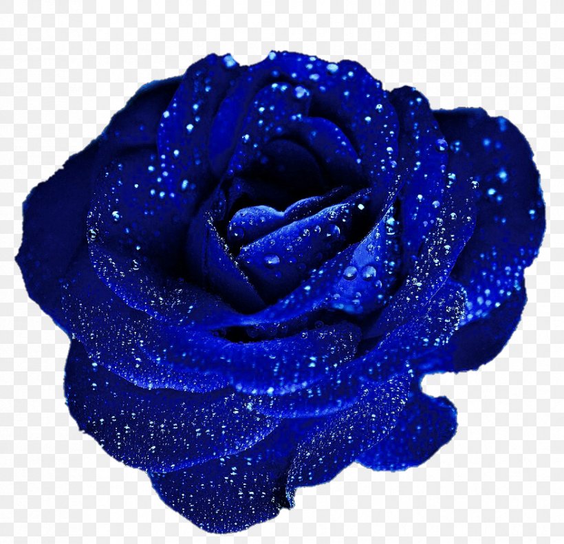 Blue Rose Flower Clip Art, PNG, 878x847px, Blue Rose, Blue, Blue Flower, Cobalt Blue, Color Download Free