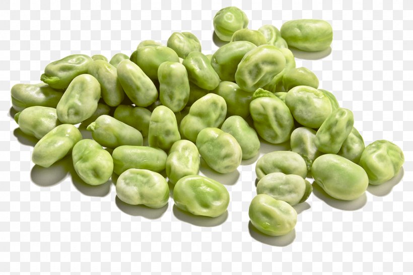 Broad Bean Vegetable Pea Common Bean, PNG, 1024x683px, Broad Bean, Bean, Commodity, Common Bean, Cooking Download Free