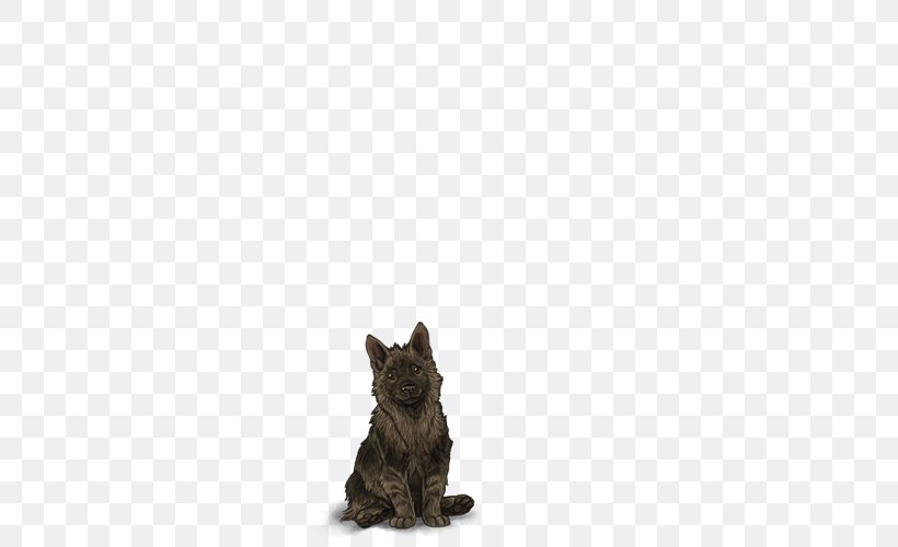 Cairn Terrier Scottish Terrier Cat Puppy Dog Breed, PNG, 640x500px, Cairn Terrier, Canidae, Carnivora, Carnivoran, Cat Download Free