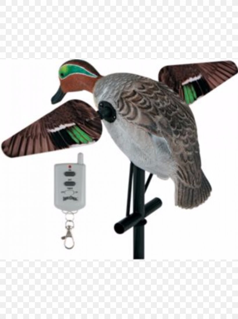 Duck Decoy Mallard Duck Decoy Hunting, PNG, 1000x1340px, Duck, Beak, Bird, Bluewinged Teal, Decoy Download Free