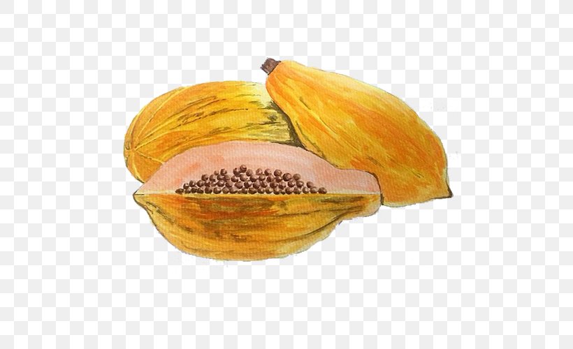 Papaya Winter Squash Vegetarian Cuisine Kxf6hlers Medicinal Plants Drawing, PNG, 500x500px, Papaya, Commodity, Cucurbita, Drawing, Food Download Free