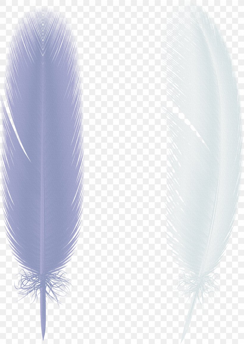 Butterfly Feather Paper Bird Wing, PNG, 2307x3257px, Butterfly, Bird, Feather, Feathered Dinosaur, Gratis Download Free