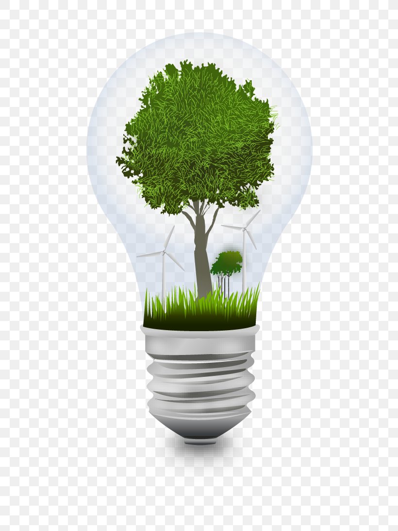 Environmental Protection Incandescent Light Bulb Energy Conservation, PNG, 546x1092px, Environmental Protection, Data, Ecology, Energy, Energy Conservation Download Free