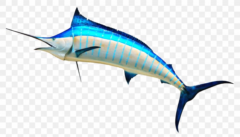 Fish Swordfish Sailfish Marlin Atlantic Blue Marlin, PNG, 3626x2082px, Fish, Atlantic Blue Marlin, Bonyfish, Fin, Marlin Download Free