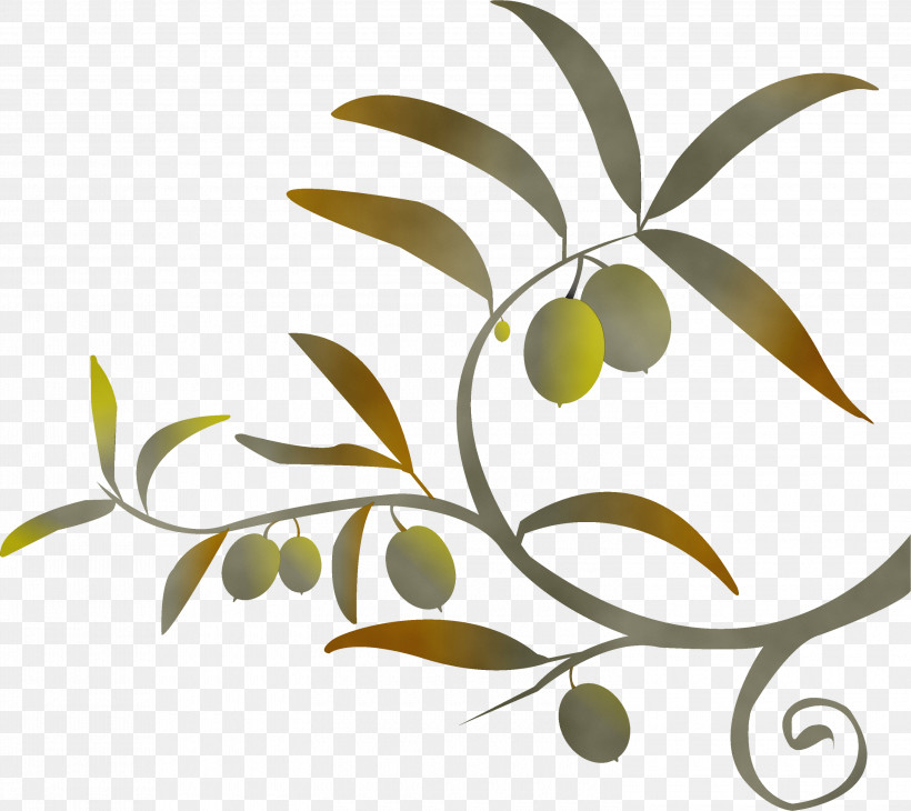 Leaf Plant Tree Olive Branch, PNG, 3000x2673px, Watercolor, Branch, Flower, Fruit, Leaf Download Free