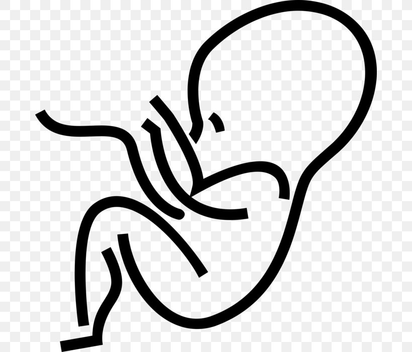 Pregnancy Cartoon, PNG, 680x700px, Fetus, Blackandwhite, Coloring Book, Drawing, Embryo Download Free