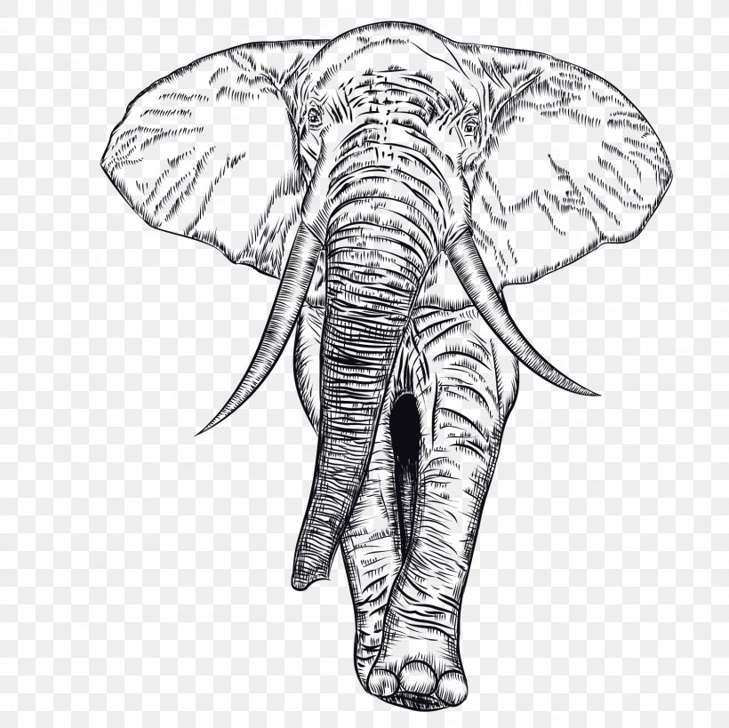 African Elephant Indian Elephant Illustration, PNG, 1600x1600px, African Elephant, Art, Black And White, Cartoon, Drawing Download Free