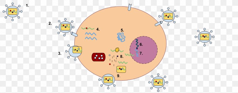 Lentivirus RNA Virus Reverse Transcriptase Virus ARN Monocatenario Retrotranscrito Simian Foamy Virus, PNG, 1280x503px, Watercolor, Cartoon, Flower, Frame, Heart Download Free