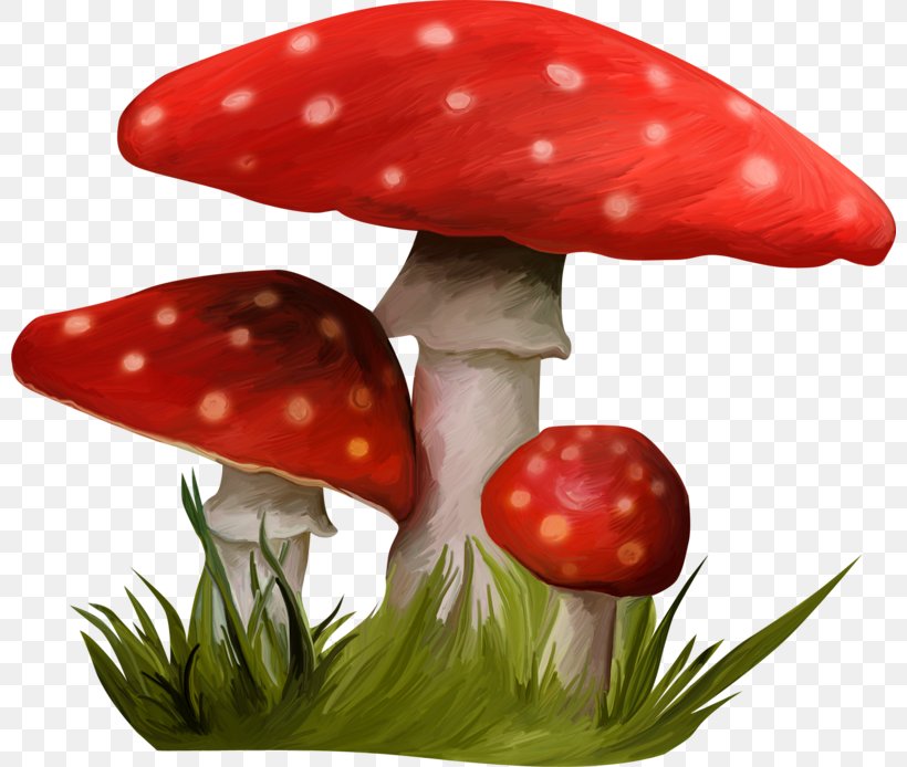Mushroom Nala HTTP Cookie Clip Art, PNG, 800x694px, Mushroom, Biscuits, Http Cookie, Nala Download Free