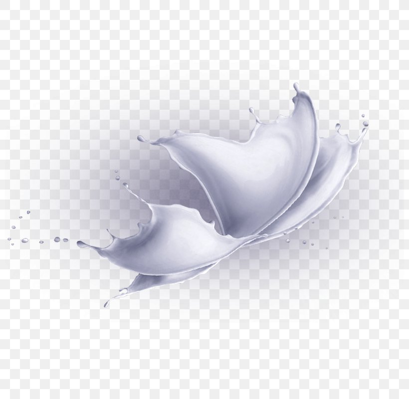 Shape Graphic Design, PNG, 800x800px, Shape, Computer, Creativity, Designer, Dolphin Download Free