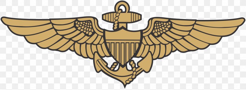 United States Naval Academy United States Naval Aviator 0506147919 Naval Aviation Aviator Badge, PNG, 1100x406px, United States Naval Academy, Aviation, Aviator Badge, Beak, Bird Download Free