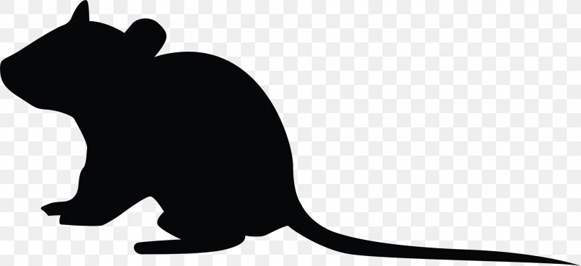 Whiskers Rat Goods Rodent Gift, PNG, 2100x963px, Whiskers, Black, Black And White, Black Cat, Cafepress Download Free