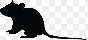 Large-screen - Whiskers Rat Goods Rodent Gift PNG