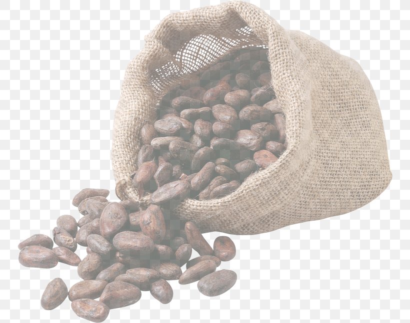 Bean Plant Common Bean, PNG, 750x647px, Bean, Common Bean, Plant Download Free