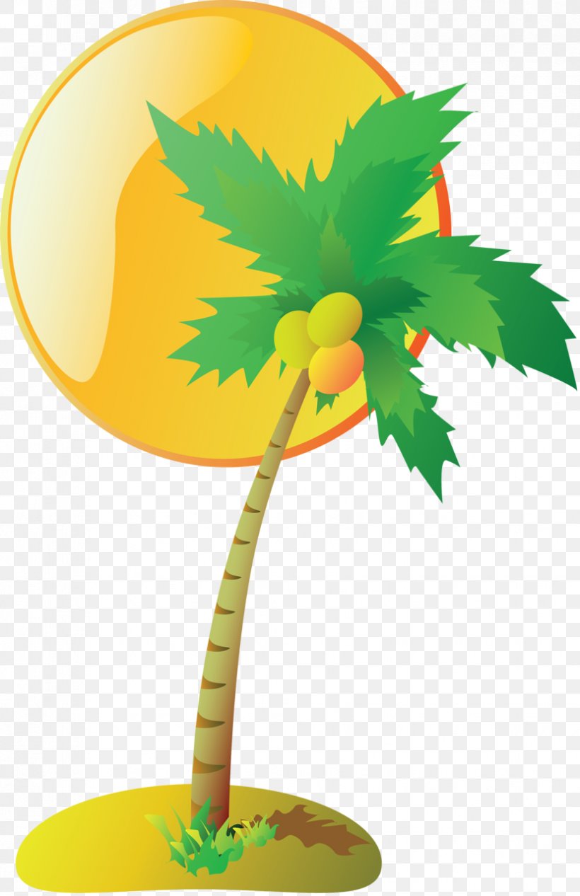 Coconut Tree Drawing, PNG, 829x1280px, Watercolor Painting, Arecales, Coconut, Drawing, Flowerpot Download Free