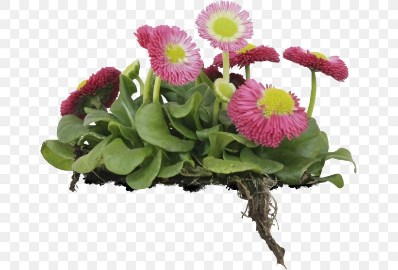 Floral Design Cut Flowers Chrysanthemum Flower Bouquet, PNG, 653x558px, Floral Design, Annual Plant, Chrysanthemum, Chrysanths, Cut Flowers Download Free