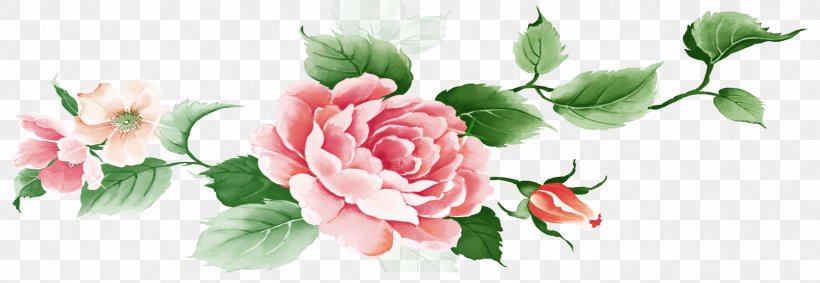 Moutan Peony Garden Roses Motif, PNG, 1736x600px, Moutan Peony, Ali Ibn Husayn Zayn Alabidin, Artificial Flower, Carnation, Cut Flowers Download Free