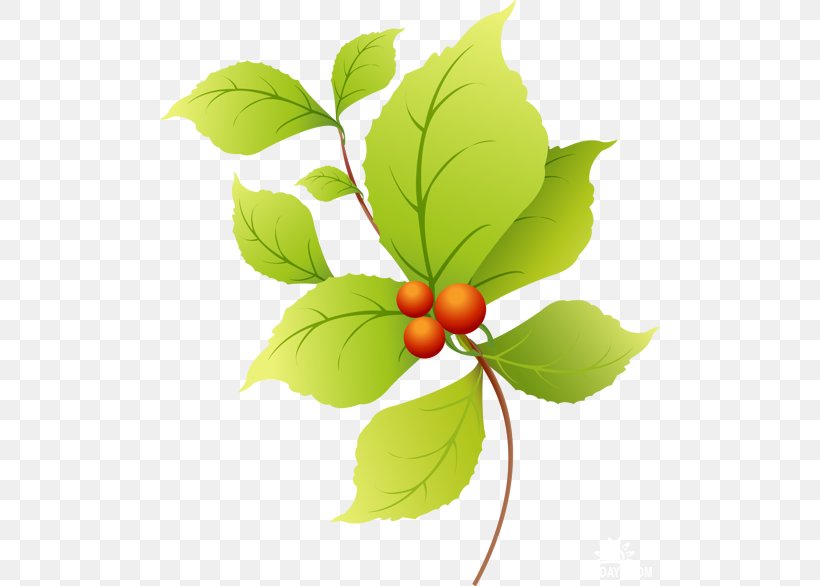 Collage Leaf Clip Art, PNG, 500x586px, Collage, Branch, Cherry, Flowering Plant, Food Download Free