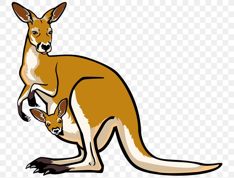 Joey Kangaroo Free Content Website Clip Art, PNG, 750x622px, Kangaroo, Document, Eastern Grey Kangaroo, Fauna, Free Content Download Free