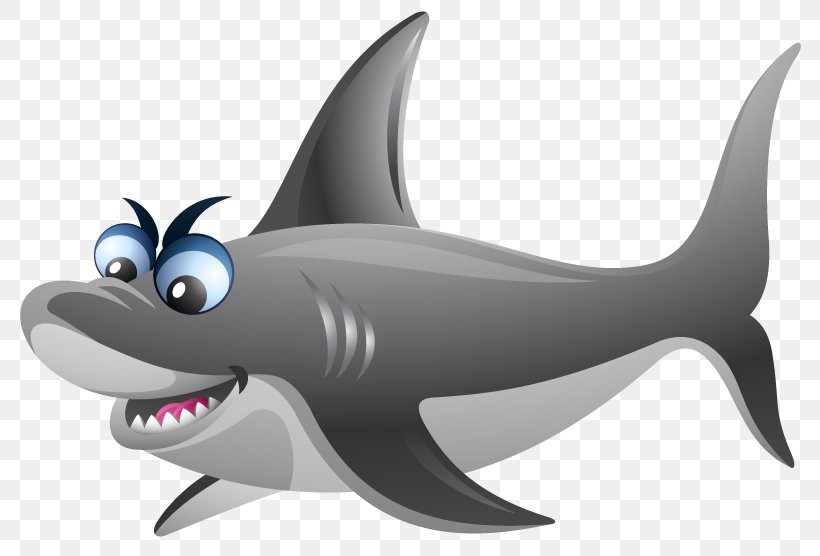 Requiem Sharks Marine Biology Marine Mammal, PNG, 800x556px, Requiem Sharks, Animated Cartoon, Biology, Cartilaginous Fish, Cartoon Download Free