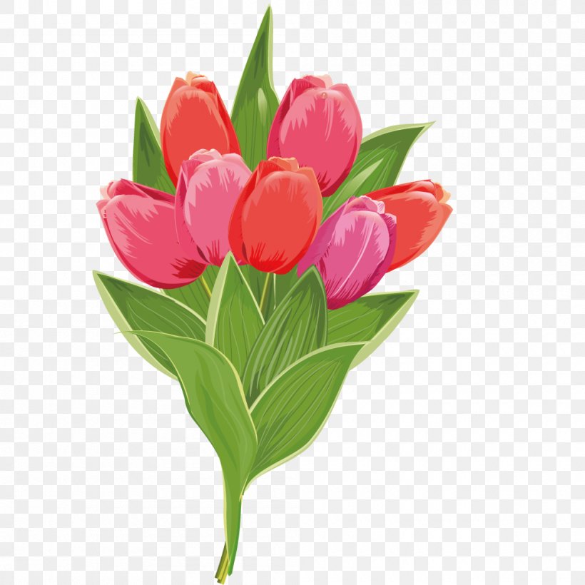 Tulip Stock Photography Pink Flower, PNG, 1000x1000px, Tulip, Chrysanthemum, Cut Flowers, Floral Design, Floristry Download Free
