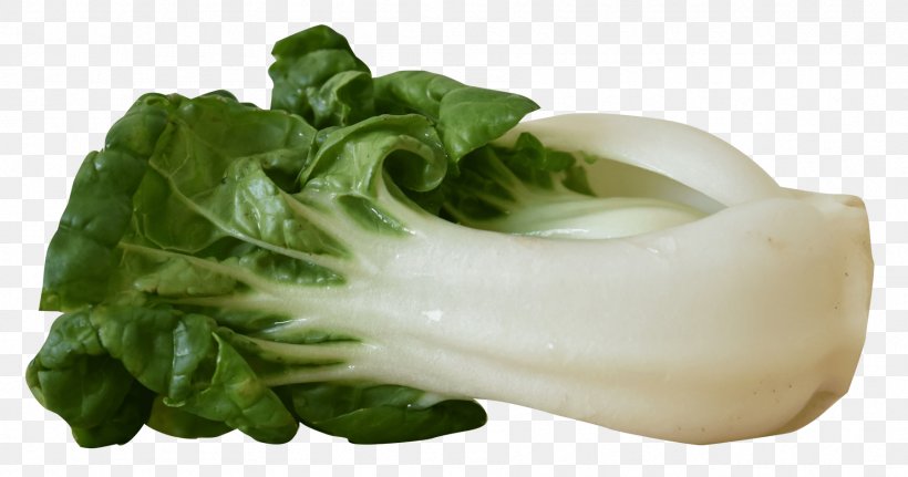 Vegetable Bok Choy Image Resolution, PNG, 1797x945px, Vegetable, Bok Choy, Broccoli, Chinese Cabbage, Cruciferous Vegetables Download Free