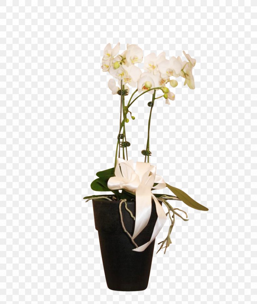 Moth Orchids Floral Design Cut Flowers Vase, PNG, 846x1000px, Moth Orchids, Artificial Flower, Cut Flowers, Flora, Floral Design Download Free