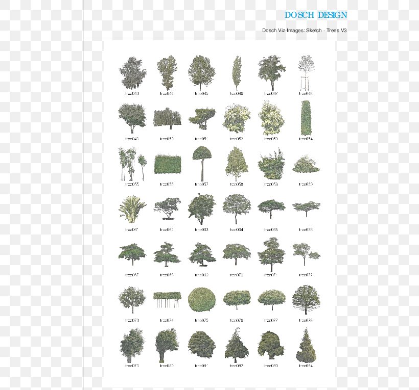 Tree Font, PNG, 595x765px, Tree, Grass, Green, Organism, Text Download Free