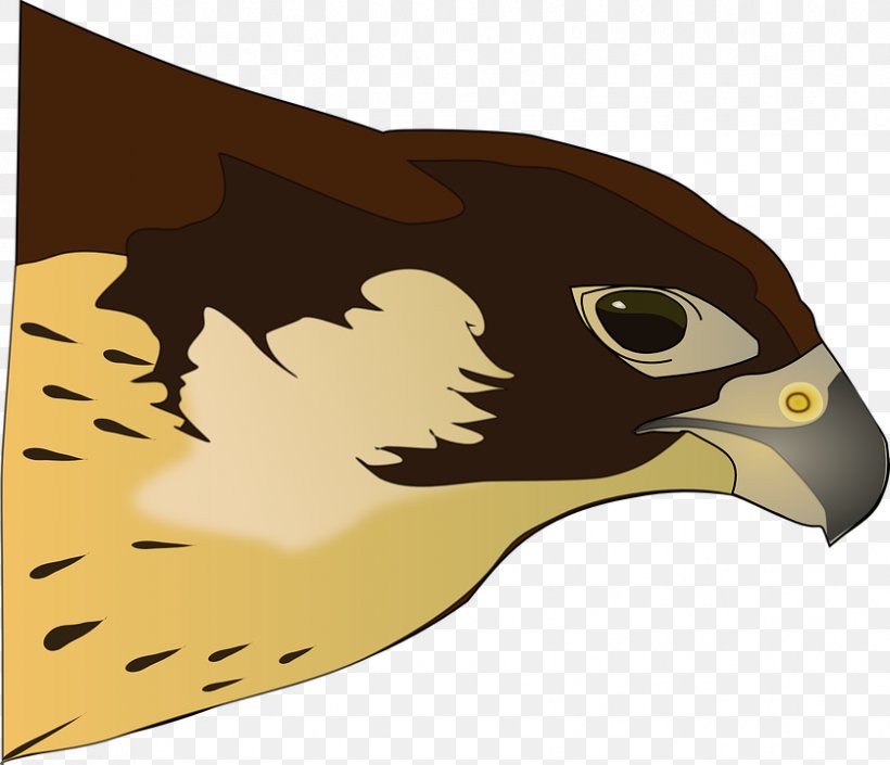 Bird Of Prey Hawk Clip Art, PNG, 837x720px, Bird, Art, Bald Eagle, Beak, Bird Of Prey Download Free