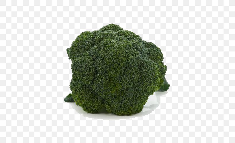 Broccoli Vegetable Cauliflower Chinese Cabbage, PNG, 500x500px, Broccoli, Cabbage, Cauliflower, Chinese Cabbage, Grass Download Free