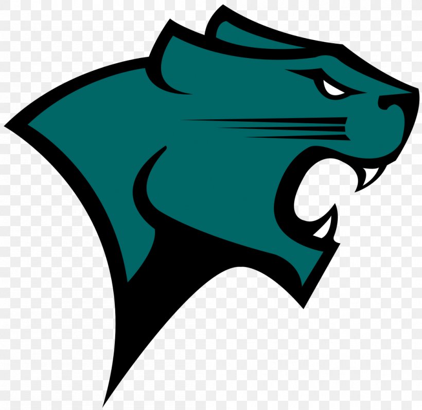 Chicago State University University Of Illinois At Chicago Chicago State Cougars Men's Basketball Chicago State Cougars Women's Basketball DePaul University, PNG, 1051x1024px, Chicago State University, Aqua, Artwork, Basketball, Chicago Download Free