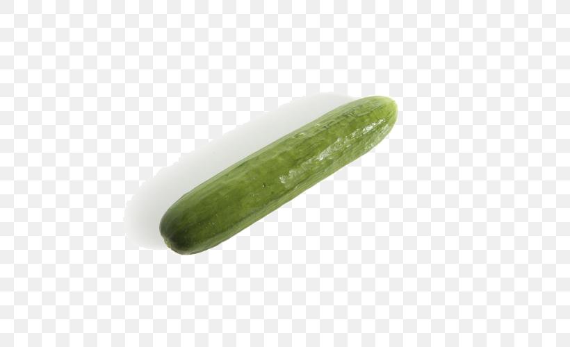 Pickled Cucumber Vegetable, PNG, 500x500px, Cucumber, Autumn, Cucumber Gourd And Melon Family, Cucumis, Gherkin Download Free