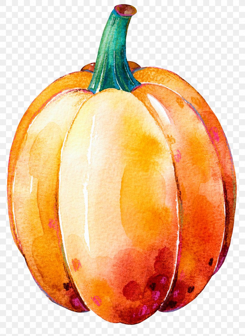 Pumpkin Calabaza Gourd Winter Squash Thanksgiving Dinner, PNG, 2816x3872px, Pumpkin, Apple, Aquarela, Calabaza, Cucurbita Download Free