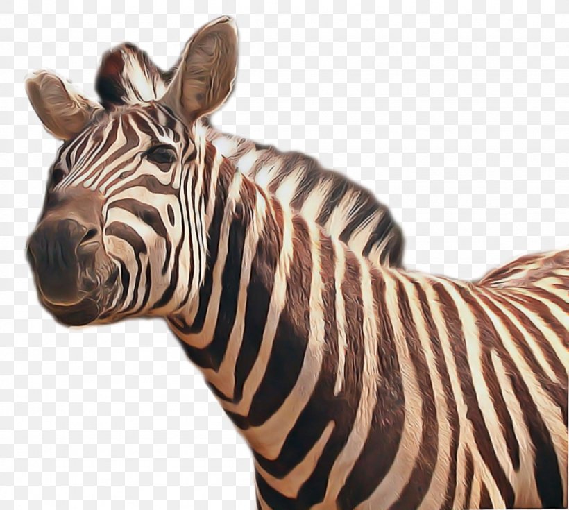 Zebra Cartoon, PNG, 1024x919px, Quagga, Animal, Animal Figure, Mane ...