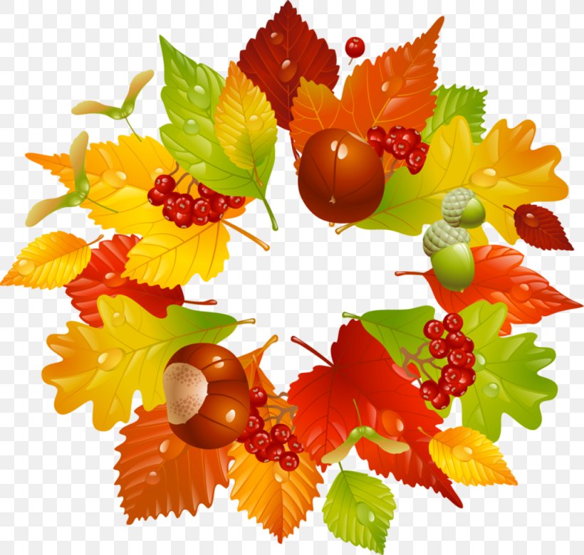 Autumn Clip Art, PNG, 1024x975px, Autumn, Acorn, Autumn Leaf Color, Drawing, Floral Design Download Free