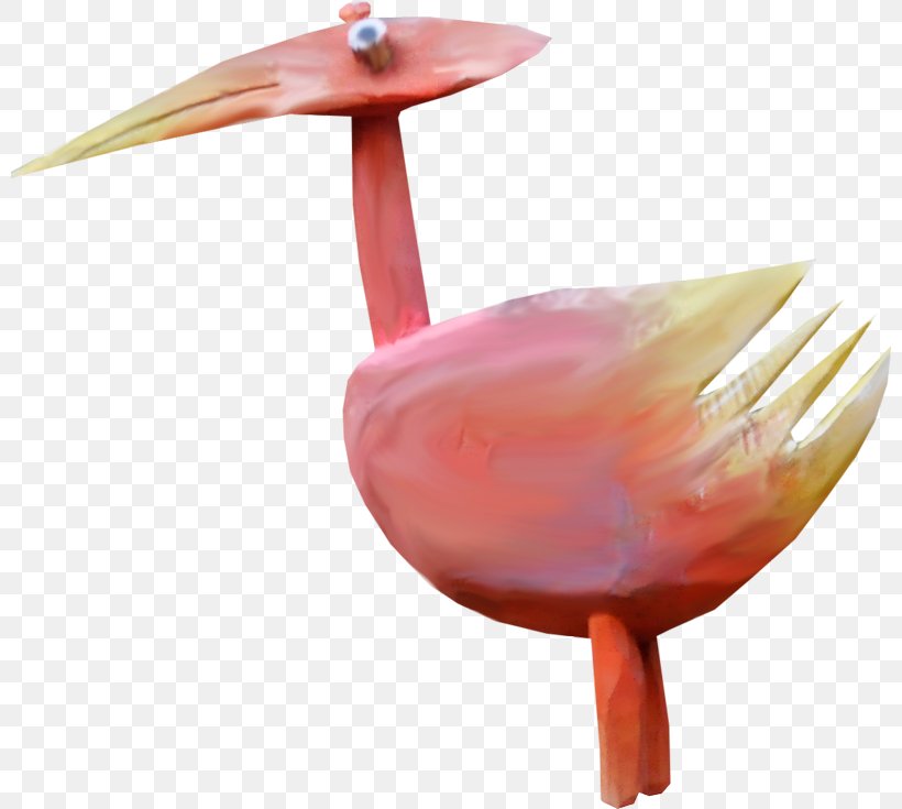 Beak, PNG, 800x735px, Beak, Bird, Flamingo, Water Bird Download Free