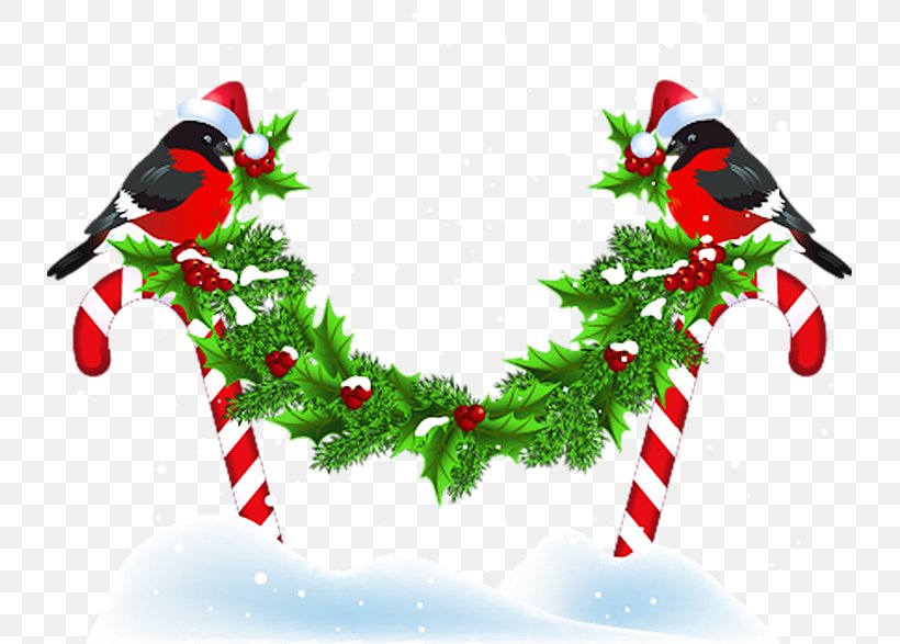 Christmas Ornament Bird New Year Kerstkrans, PNG, 733x587px, 2016, Christmas Ornament, Aquifoliaceae, Beak, Bird Download Free