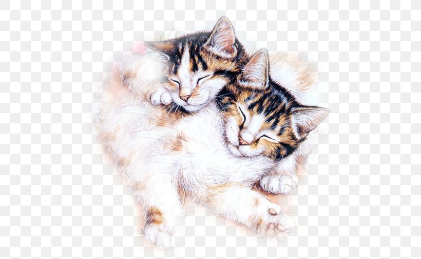 Kitten American Shorthair European Shorthair Domestic Short-haired Cat, PNG, 500x504px, Kitten, American Shorthair, Animaatio, Carnivoran, Cat Download Free
